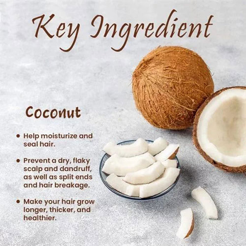 Eat Raw Coconut for Hair Growth Diet and Nutrition